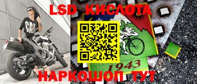 гашик Будённовск