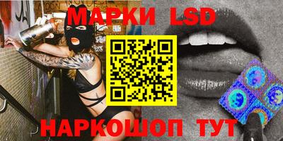 гашик Будённовск