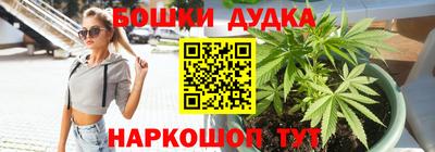 гашик Будённовск