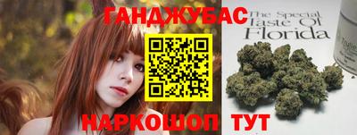 гашик Будённовск