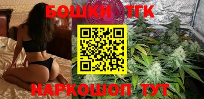 гашик Будённовск