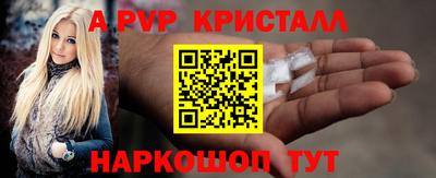 гашик Будённовск