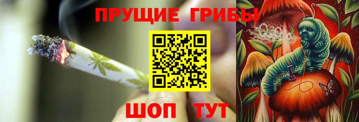Псилоцибиновые грибы GOLDEN TEACHER  Вход с VPN  купить  цена  Салехард 